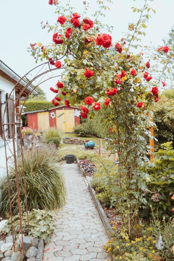 Ferienparadies Am Kammerberg - Ein Ganzes Haus Fuer Sie Alleine!!! Weißenhorn Buitenkant foto